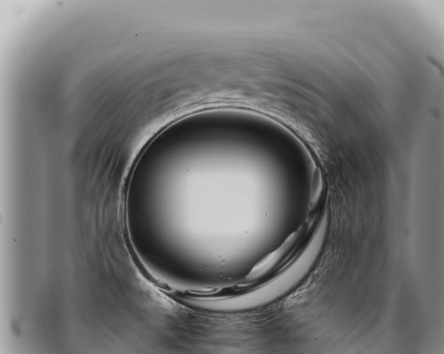 X0000094931527200711291323