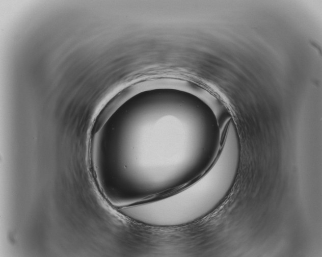 X0000094931528200711291324