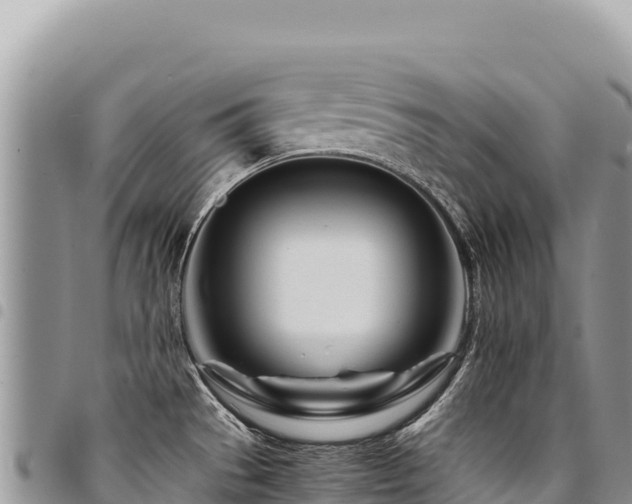 X0000094931529200711291324