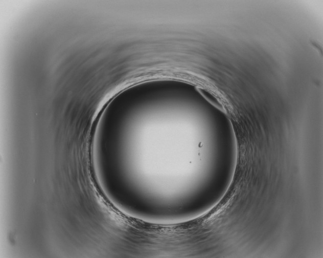 X0000094931530200711291324