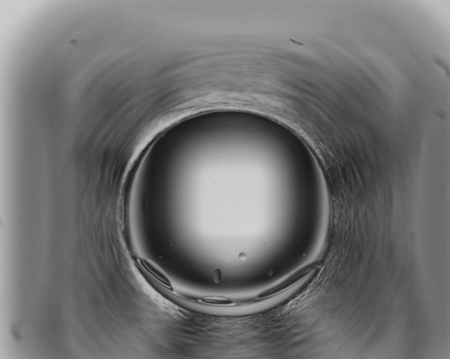 X0000094931531200711291324