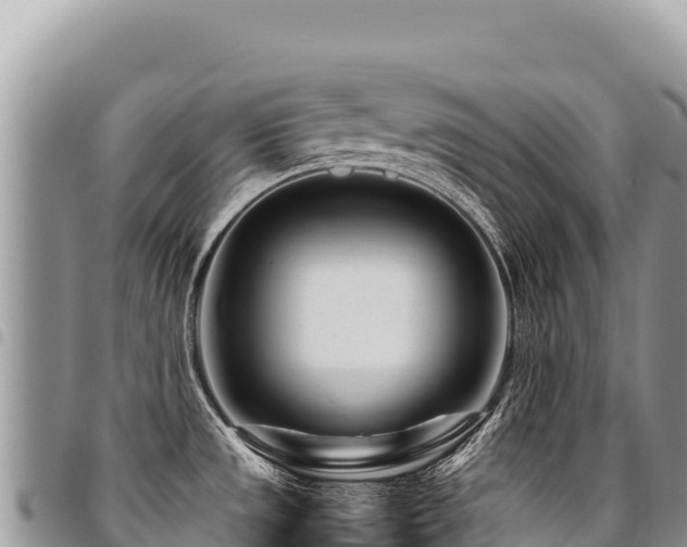 X0000094931533200711291324