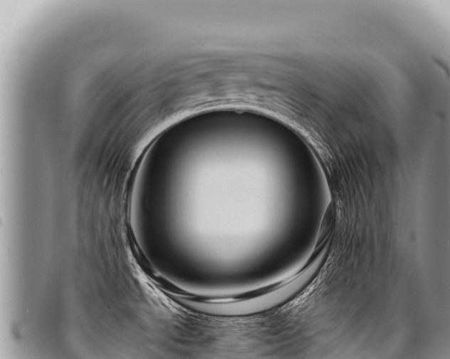 X0000094931534200711291324