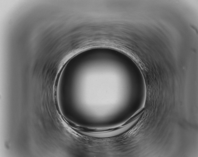 X0000094931535200711291324