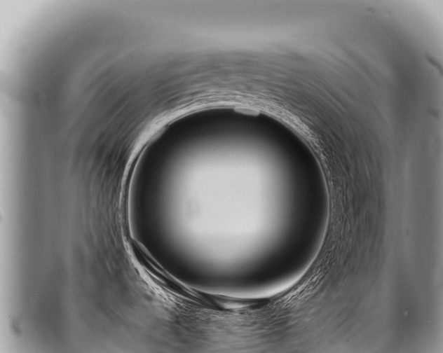 X0000094931536200711291324