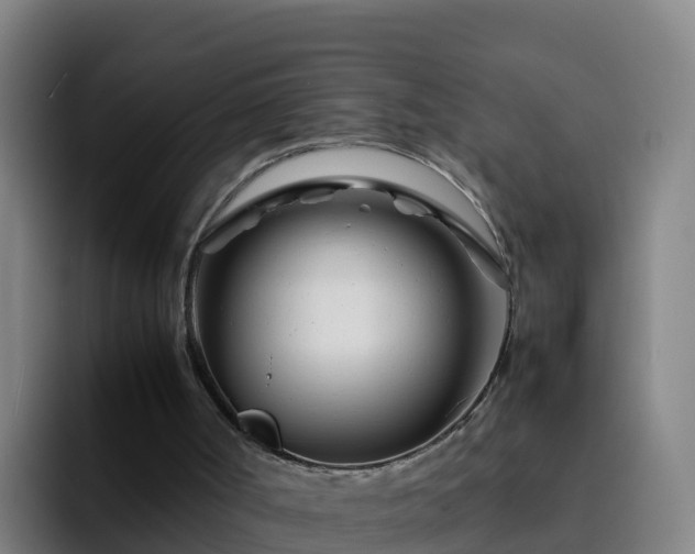 X0000094930002200712061138