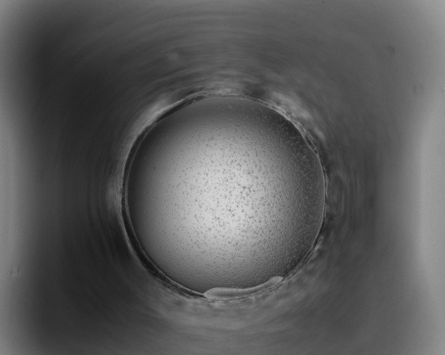 X0000094930003200712061138
