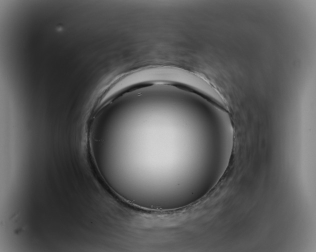X0000094930005200712061138