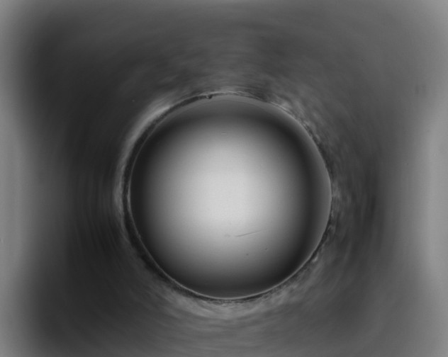 X0000094930006200712061138