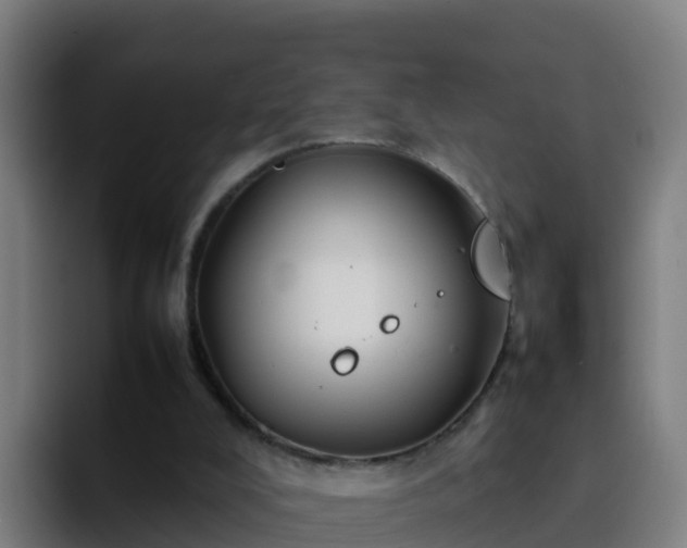 X0000094930008200712061138