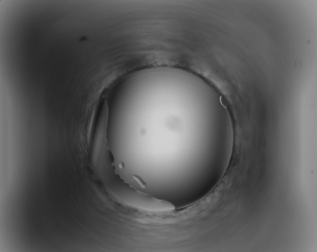X0000094930009200712061138