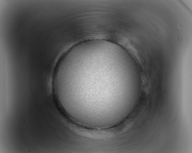 X0000094930012200712061138