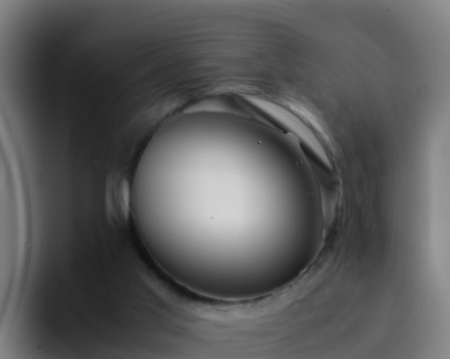 X0000094930013200712061138