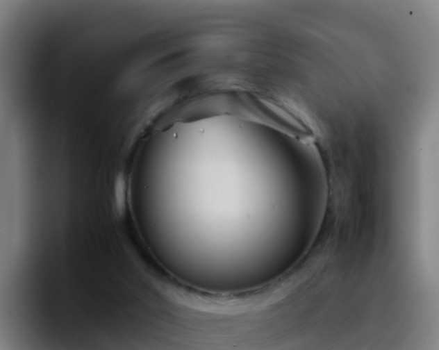 X0000094930014200712061138