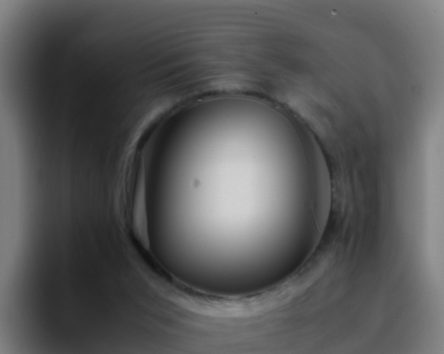 X0000094930015200712061138