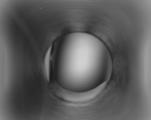 X0000094930017200712061138