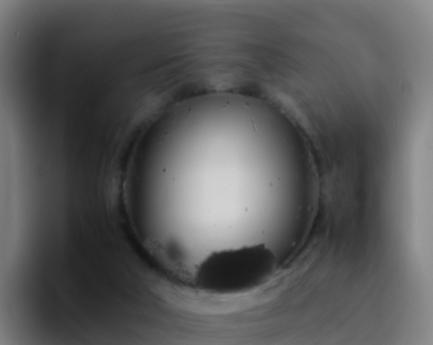 X0000094930018200712061138