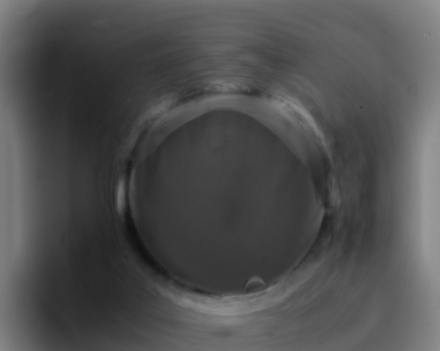 X0000094930019200712061138