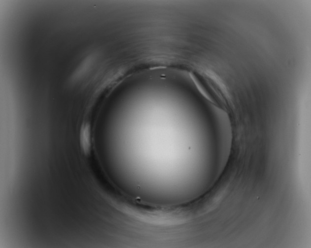 X0000094930020200712061138