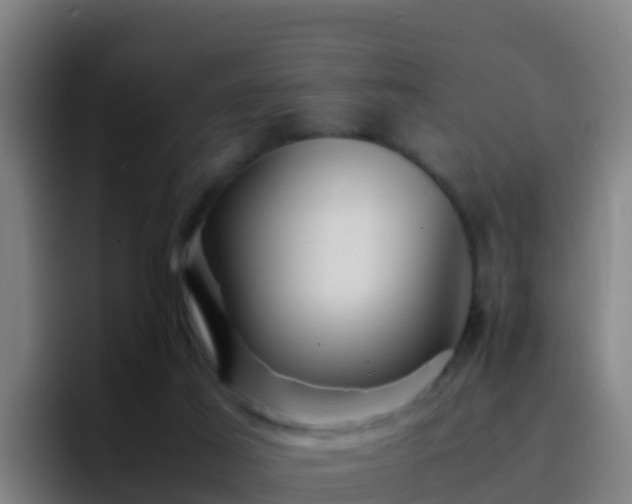 X0000094930021200712061138