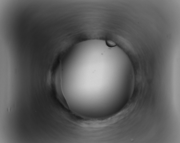 X0000094930025200712061138