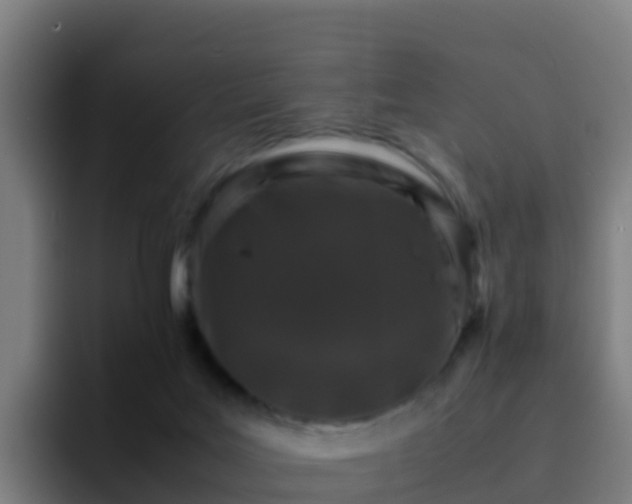 X0000094930027200712061138