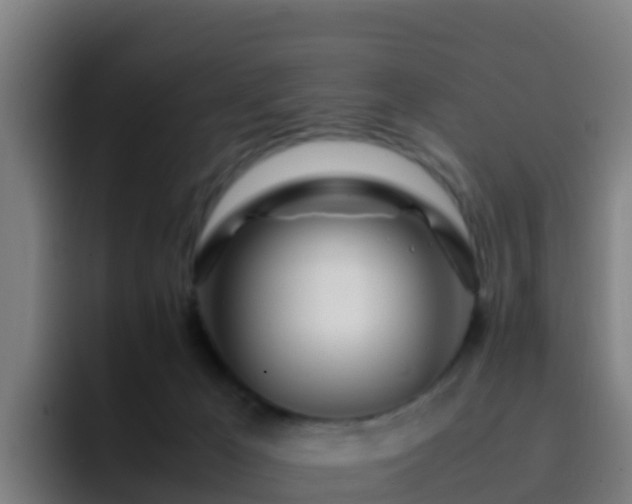 X0000094930029200712061138