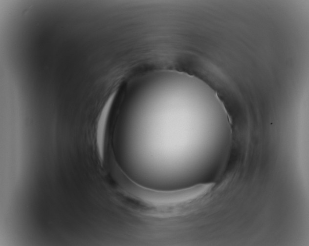 X0000094930037200712061138