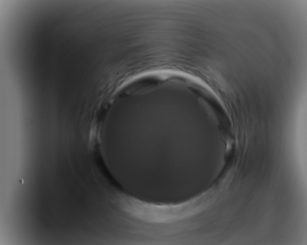 X0000094930039200712061138