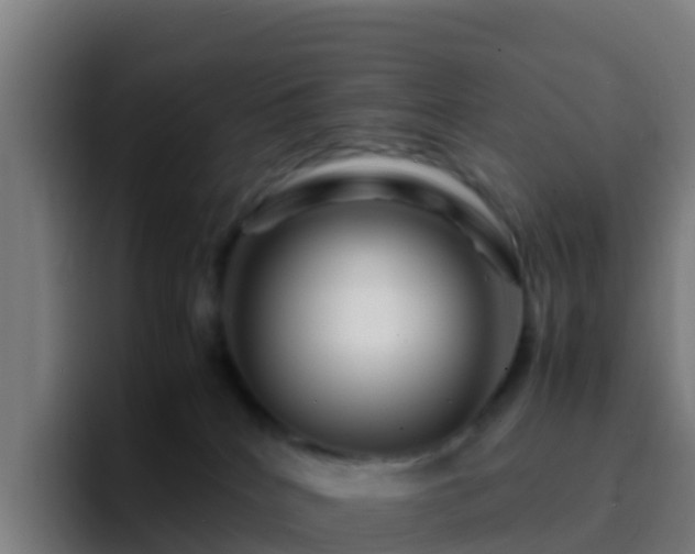 X0000094930040200712061138
