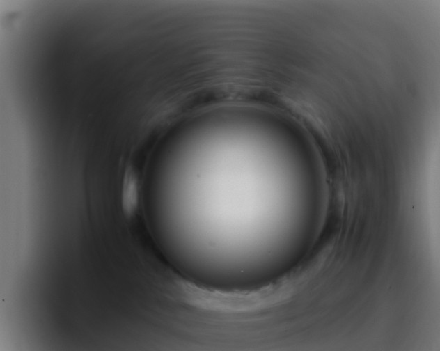 X0000094930042200712061138