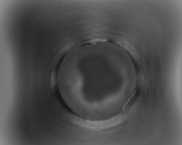 X0000094930043200712061138