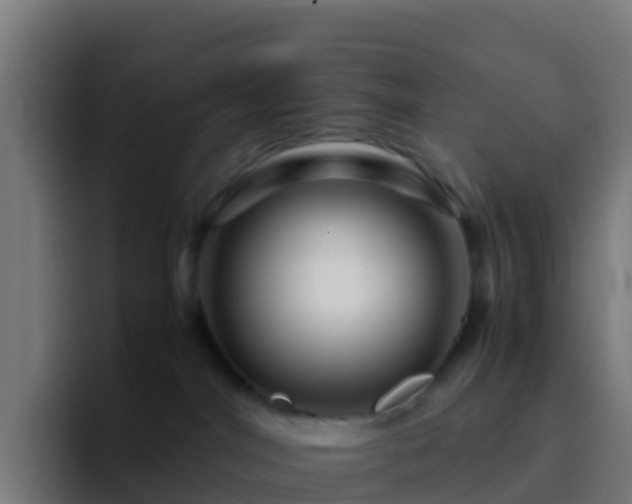 X0000094930044200712061138