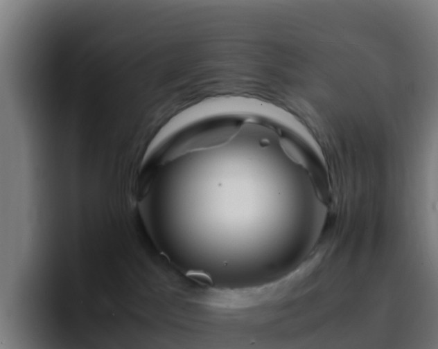 X0000094930045200712061138