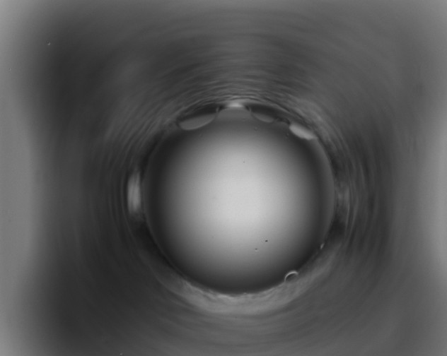 X0000094930046200712061138
