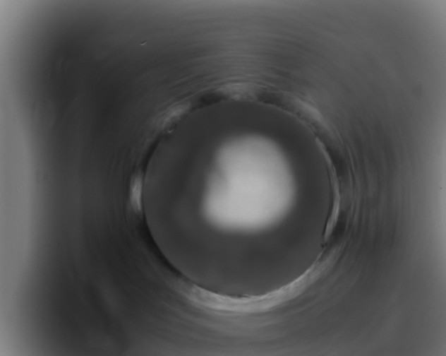 X0000094930047200712061138
