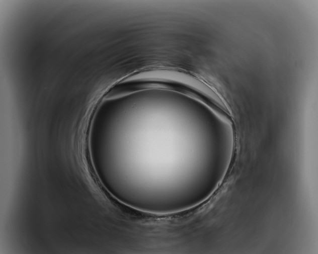 X0000094930049200712061137