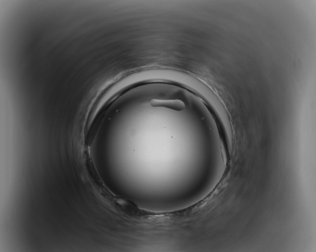 X0000094930050200712061137