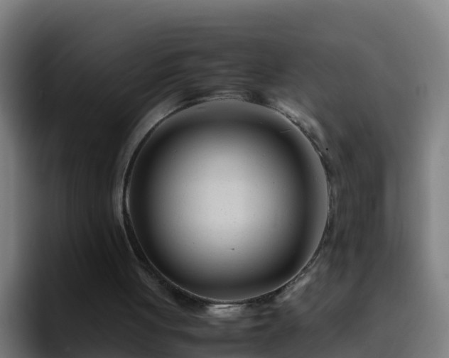 X0000094930051200712061137