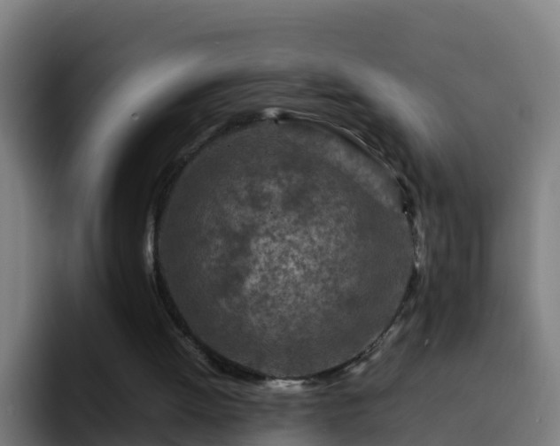X0000094930052200712061137