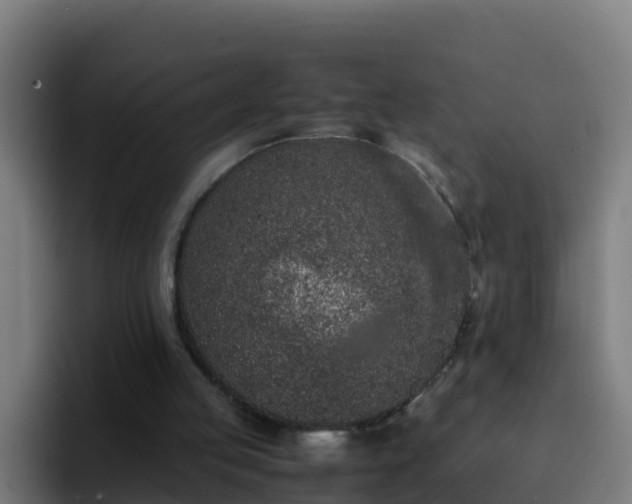 X0000094930053200712061137