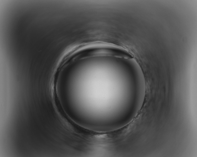X0000094930054200712061137
