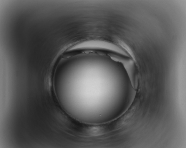 X0000094930059200712061137