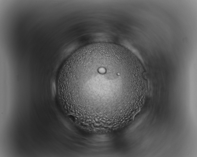 X0000094930061200712061137