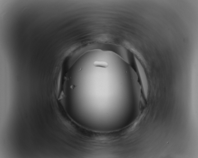 X0000094930062200712061137