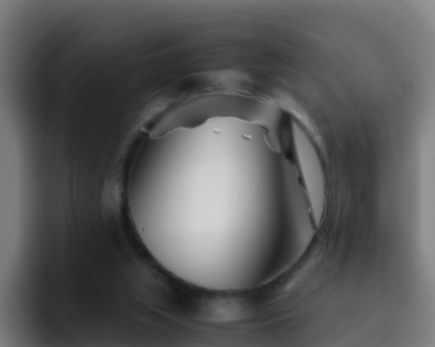 X0000094930063200712061137