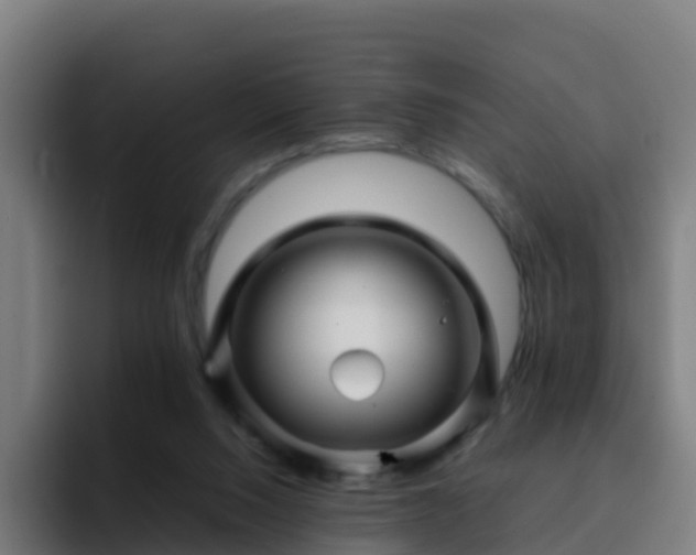 X0000094930064200712061137