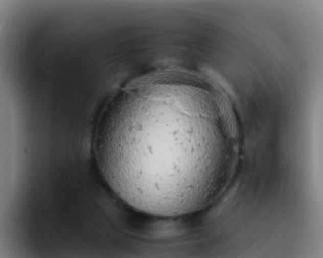 X0000094930065200712061137