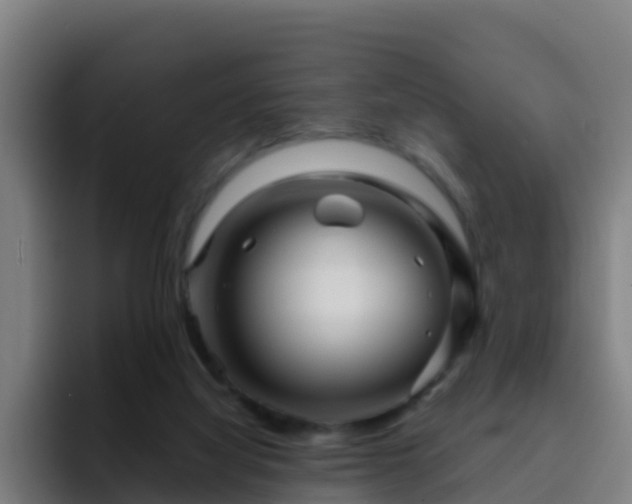 X0000094930068200712061137