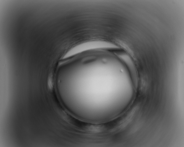 X0000094930069200712061137